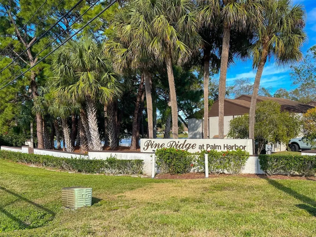 2523 Pine Ridge Way S Palm Harbor FL 34684
