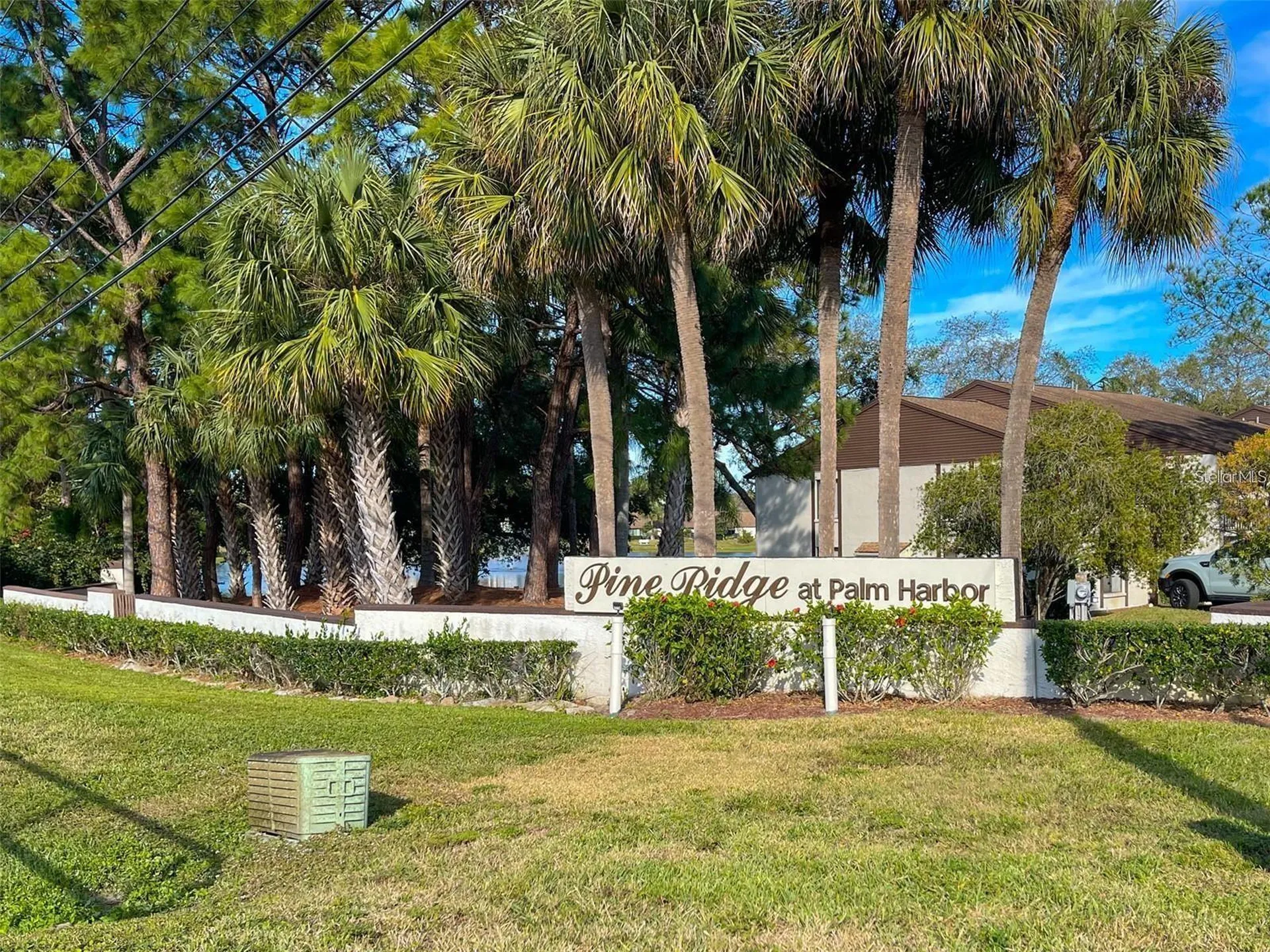 2523 Pine Ridge Way S Palm Harbor FL 34684