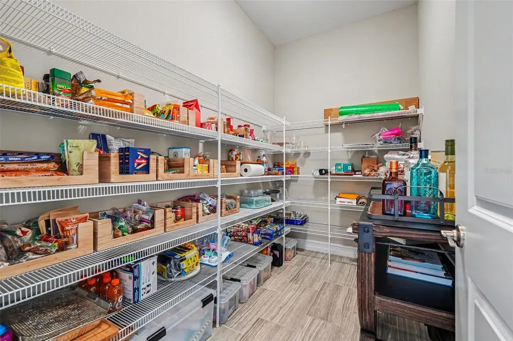 28446 Corbara Place Wesley Chapel FL 33543