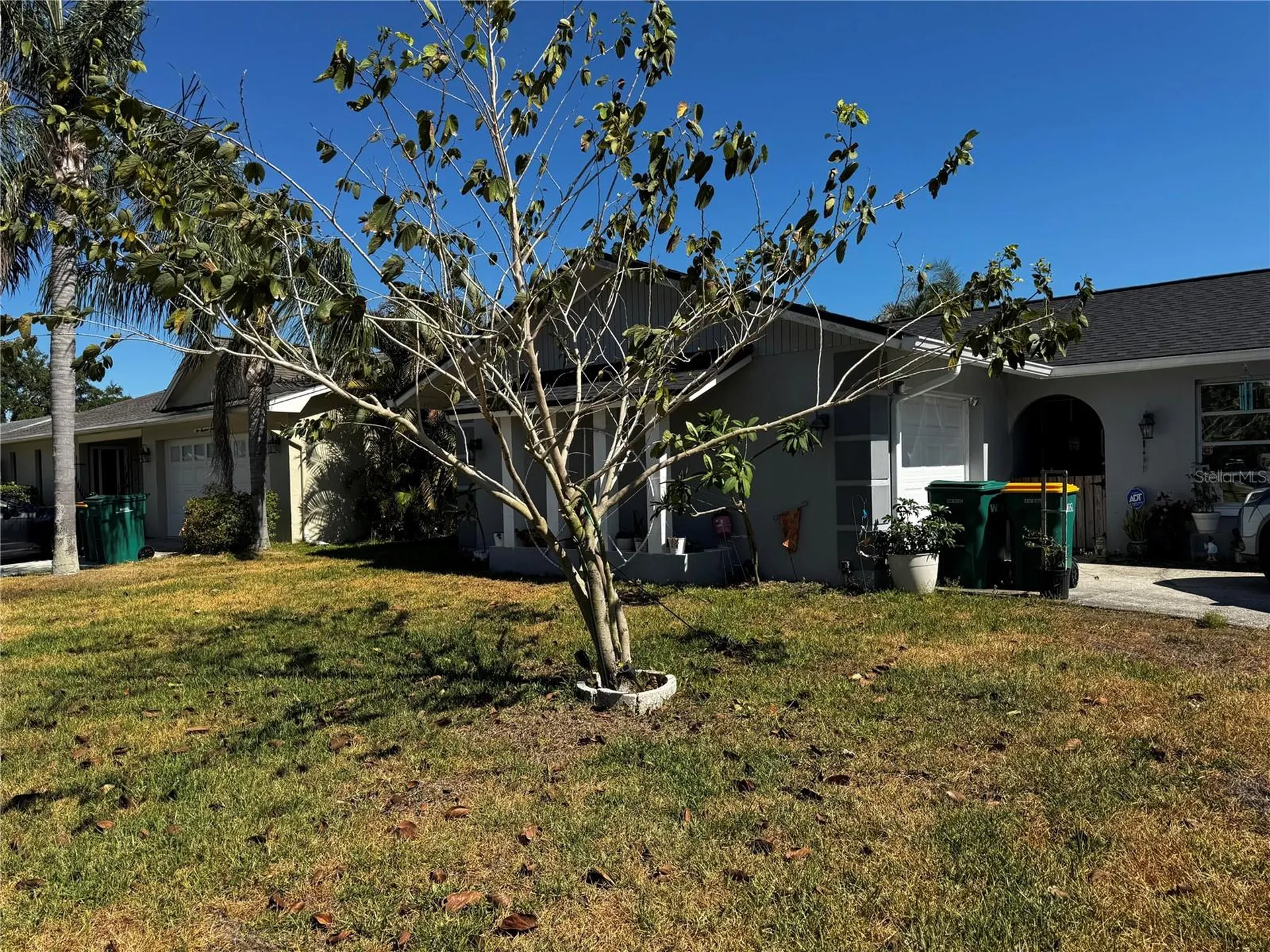 158 Sunshine Drive Palm Harbor FL 34684