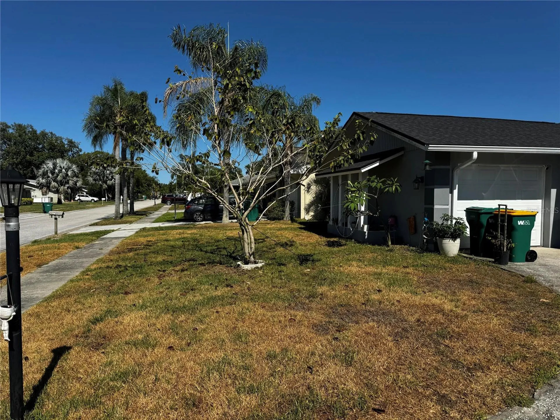 158 Sunshine Drive Palm Harbor FL 34684