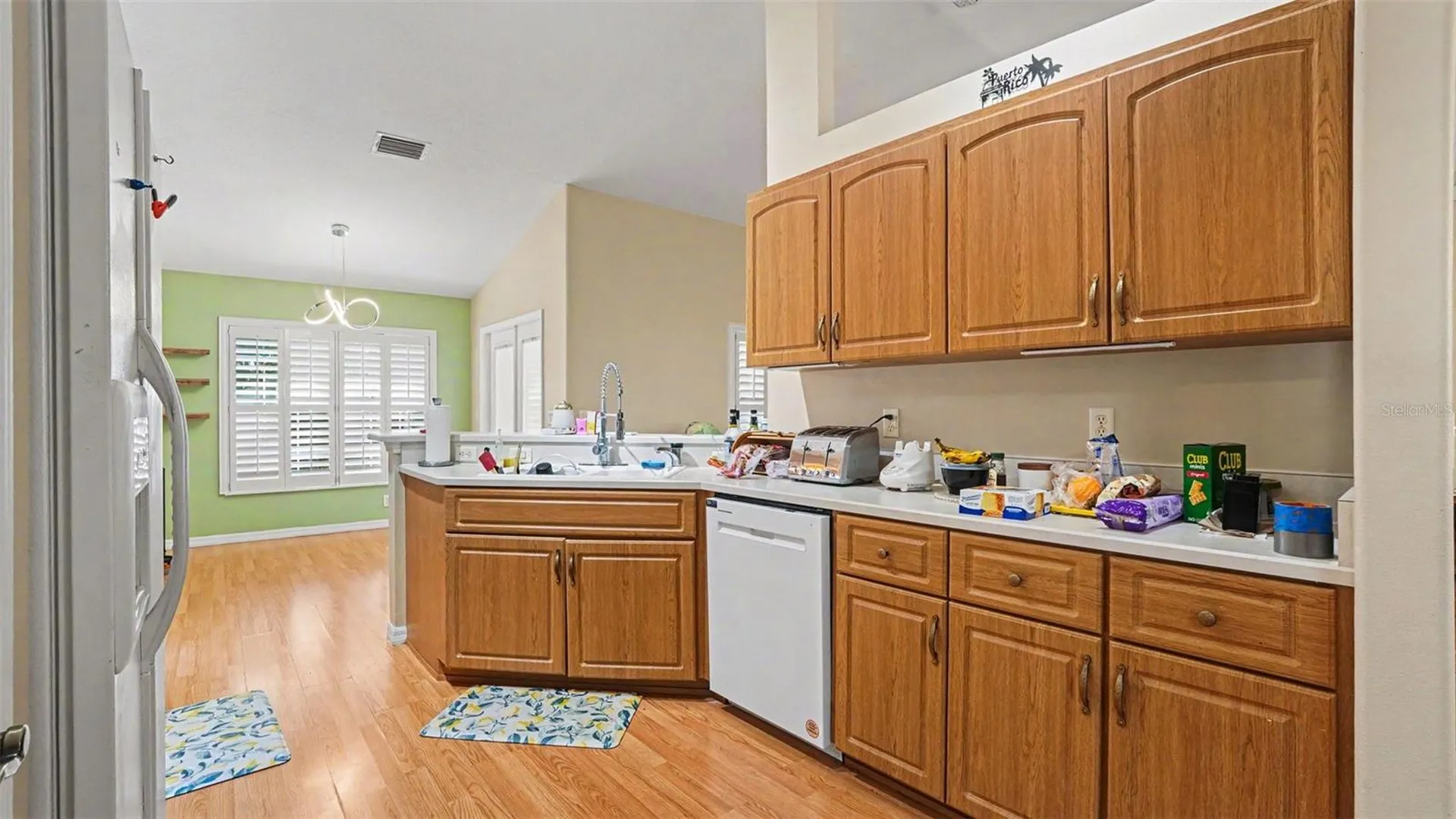 6607 SE 11th Loop Ocala FL 34472