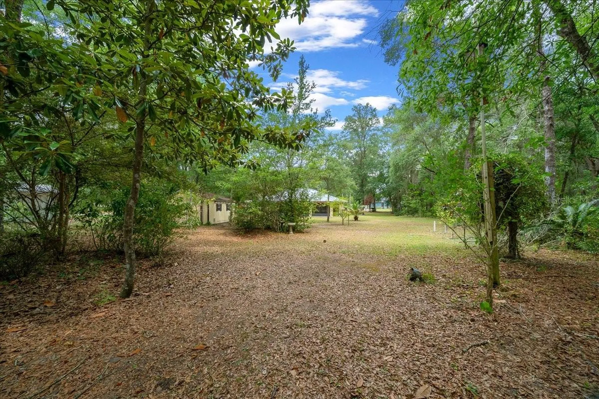 10190 N Athenia Drive Citrus Springs FL 34434
