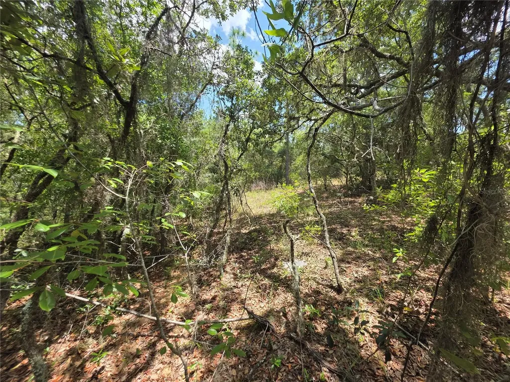 Lot 18 SW Wood Road Dunnellon FL 34431