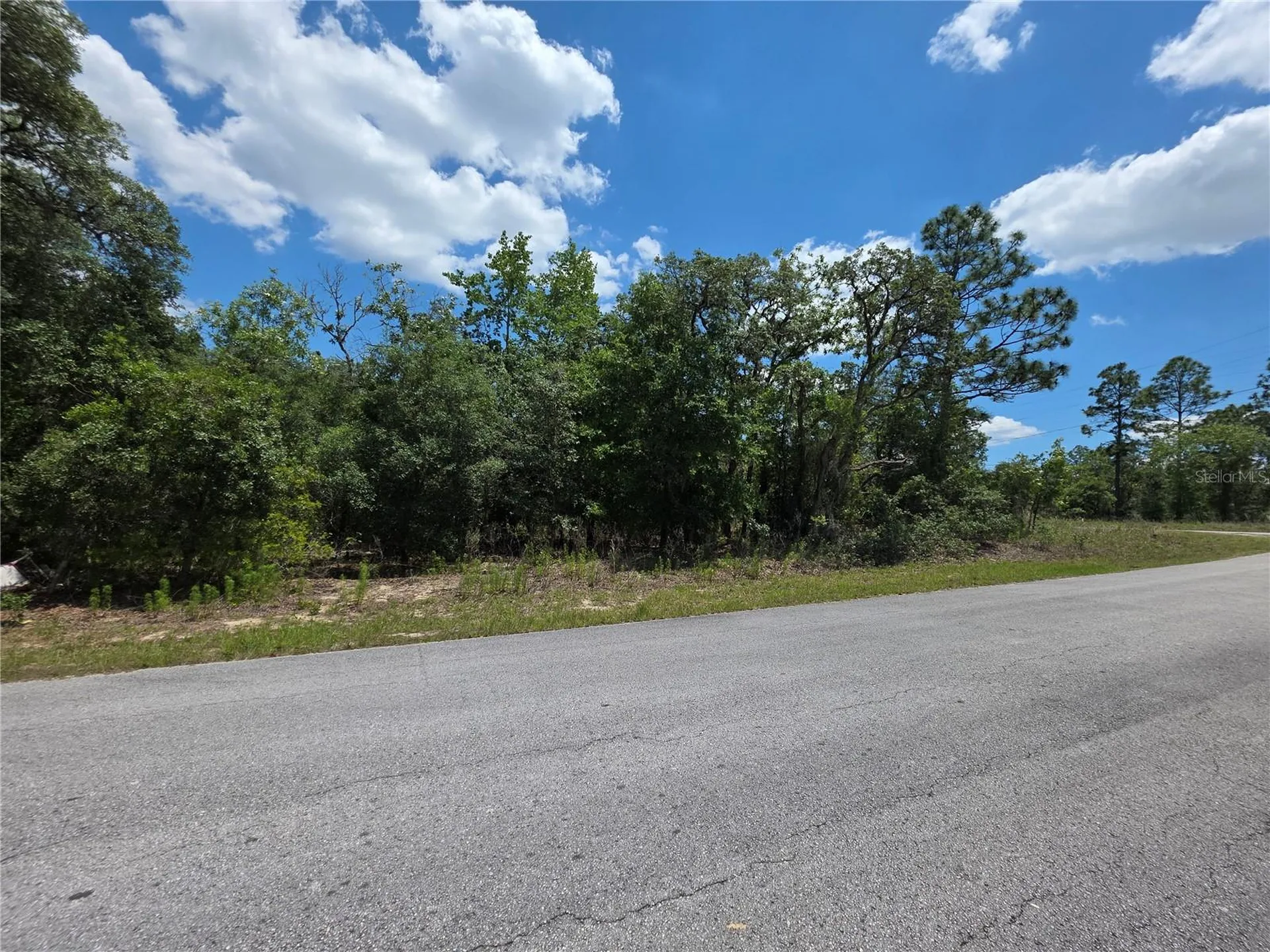 Lot 18 SW Wood Road Dunnellon FL 34431