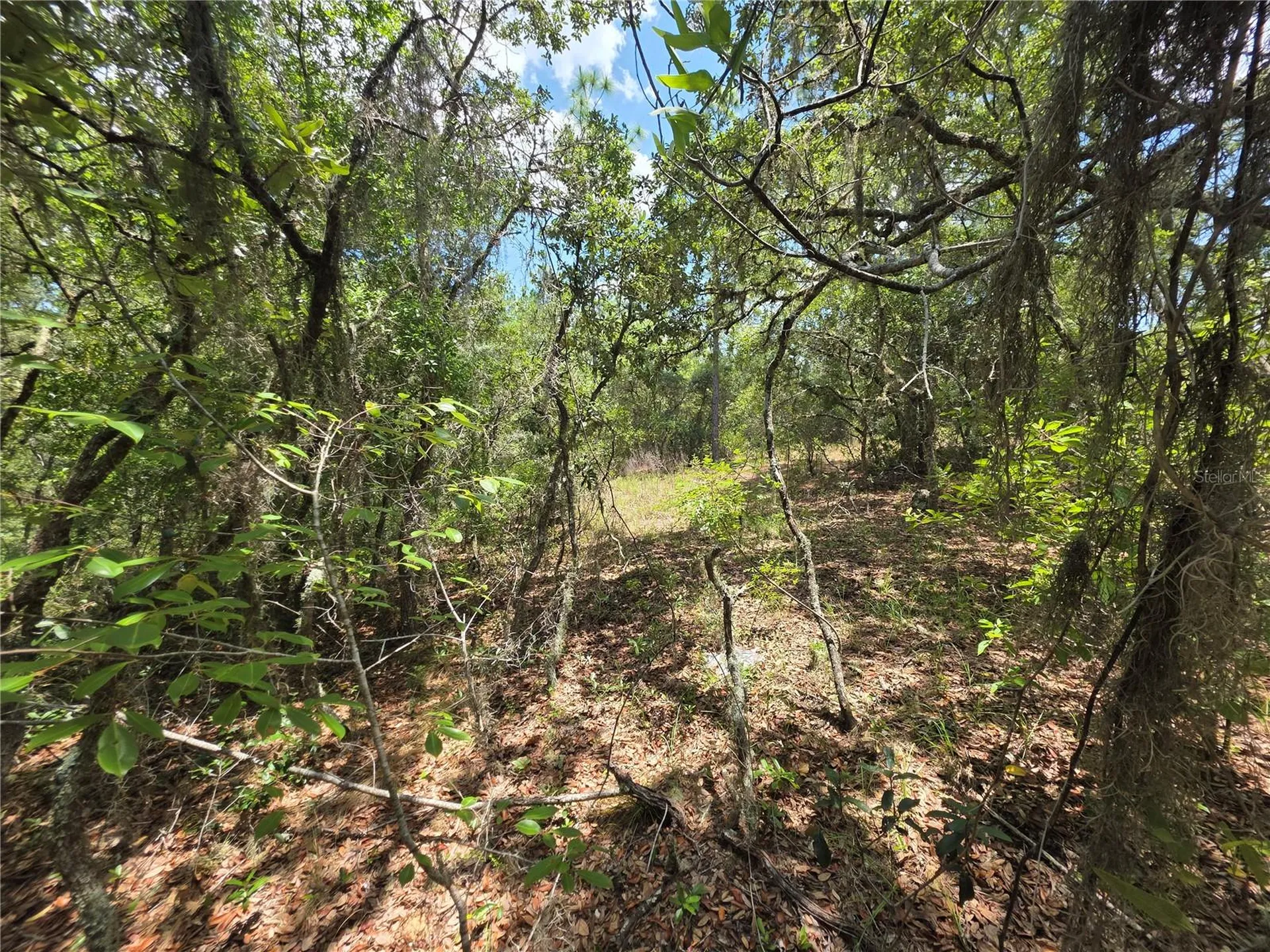 Lot 18 SW Wood Road Dunnellon FL 34431