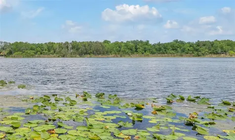 1841 Lake Spier Drive Winter Park FL 32789