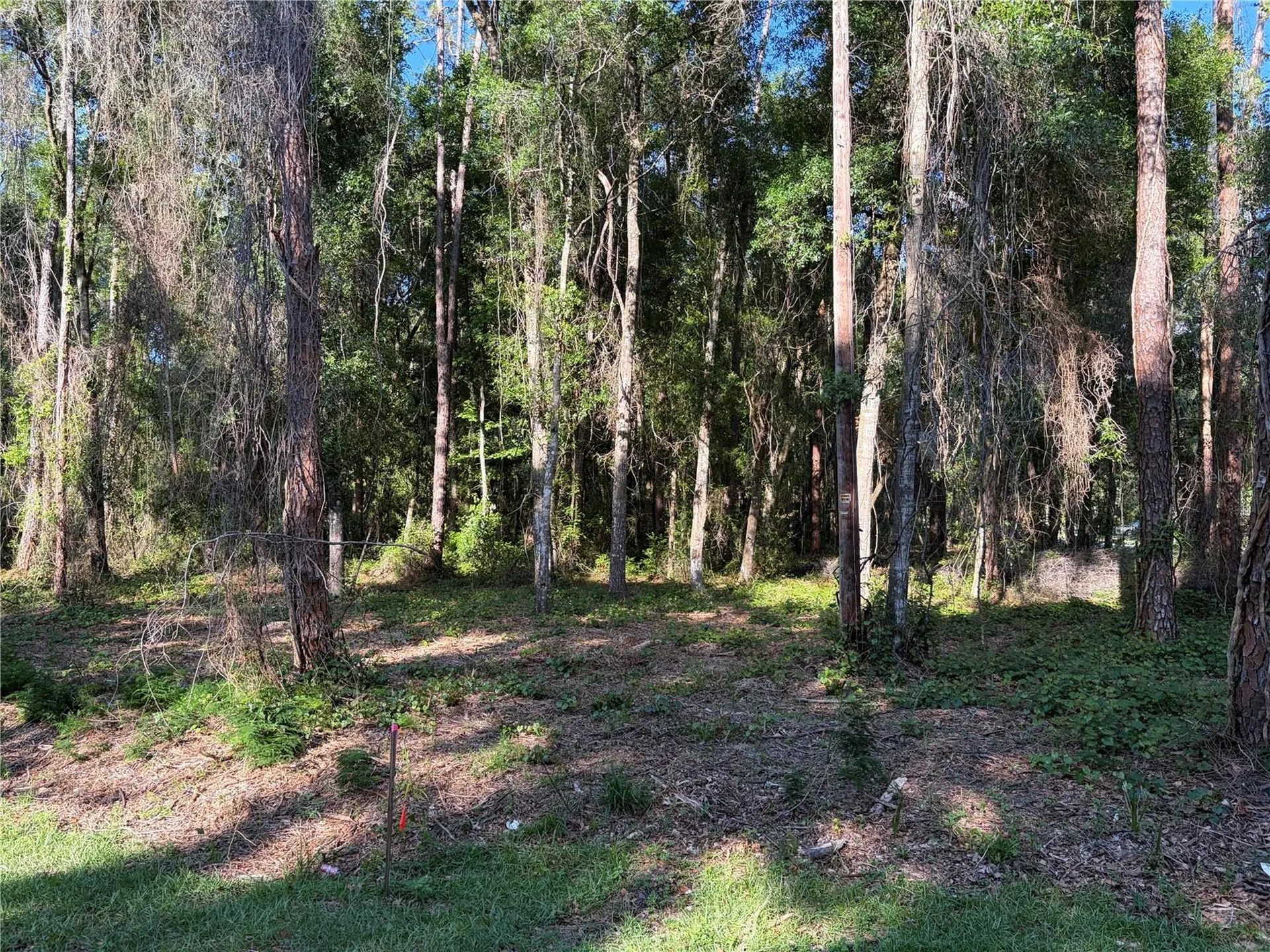 9192 Cr 647cs Bushnell FL 33513