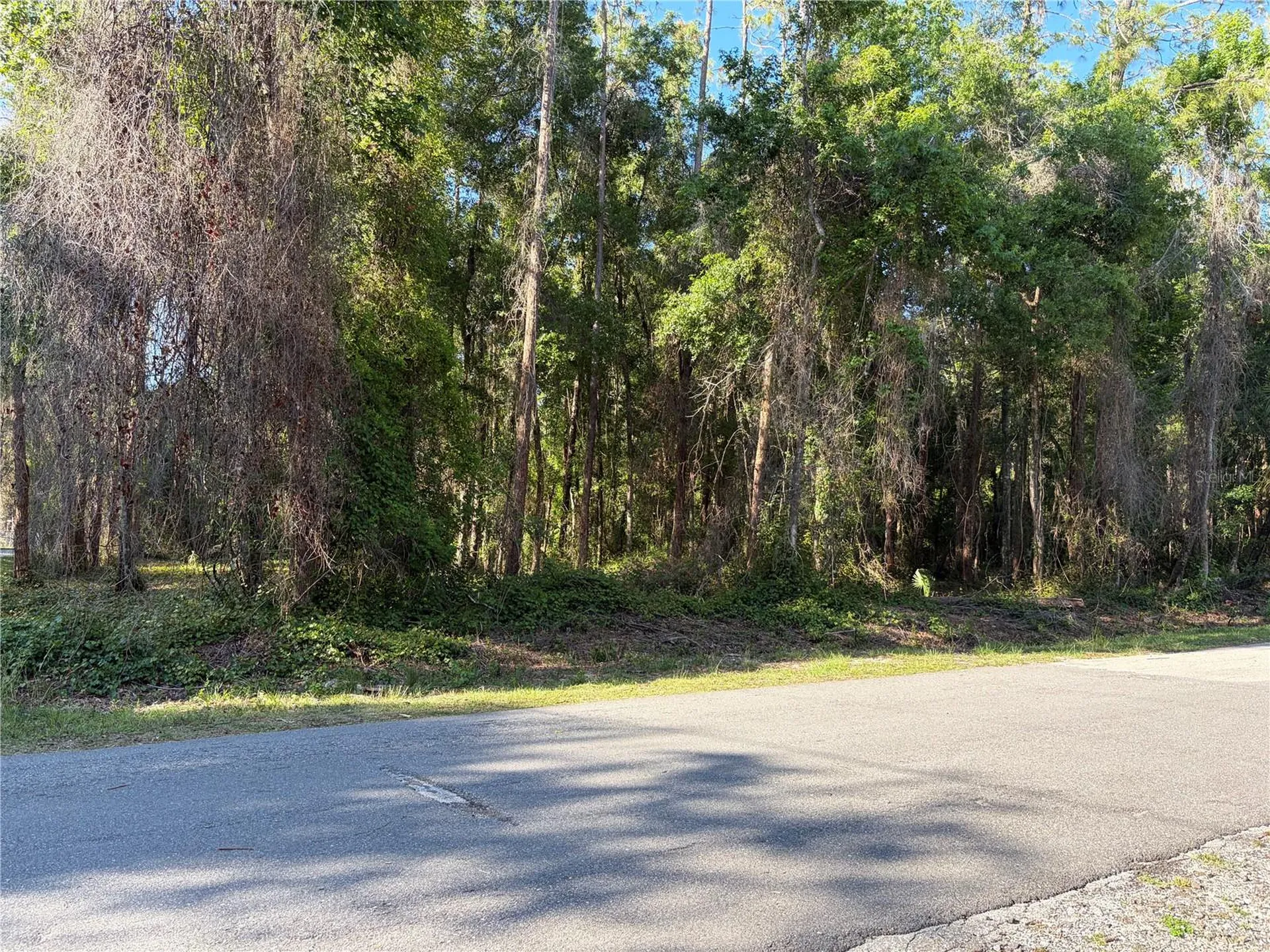9192 Cr 647cs Bushnell FL 33513