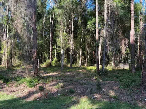 9192 Cr 647cs Bushnell FL 33513