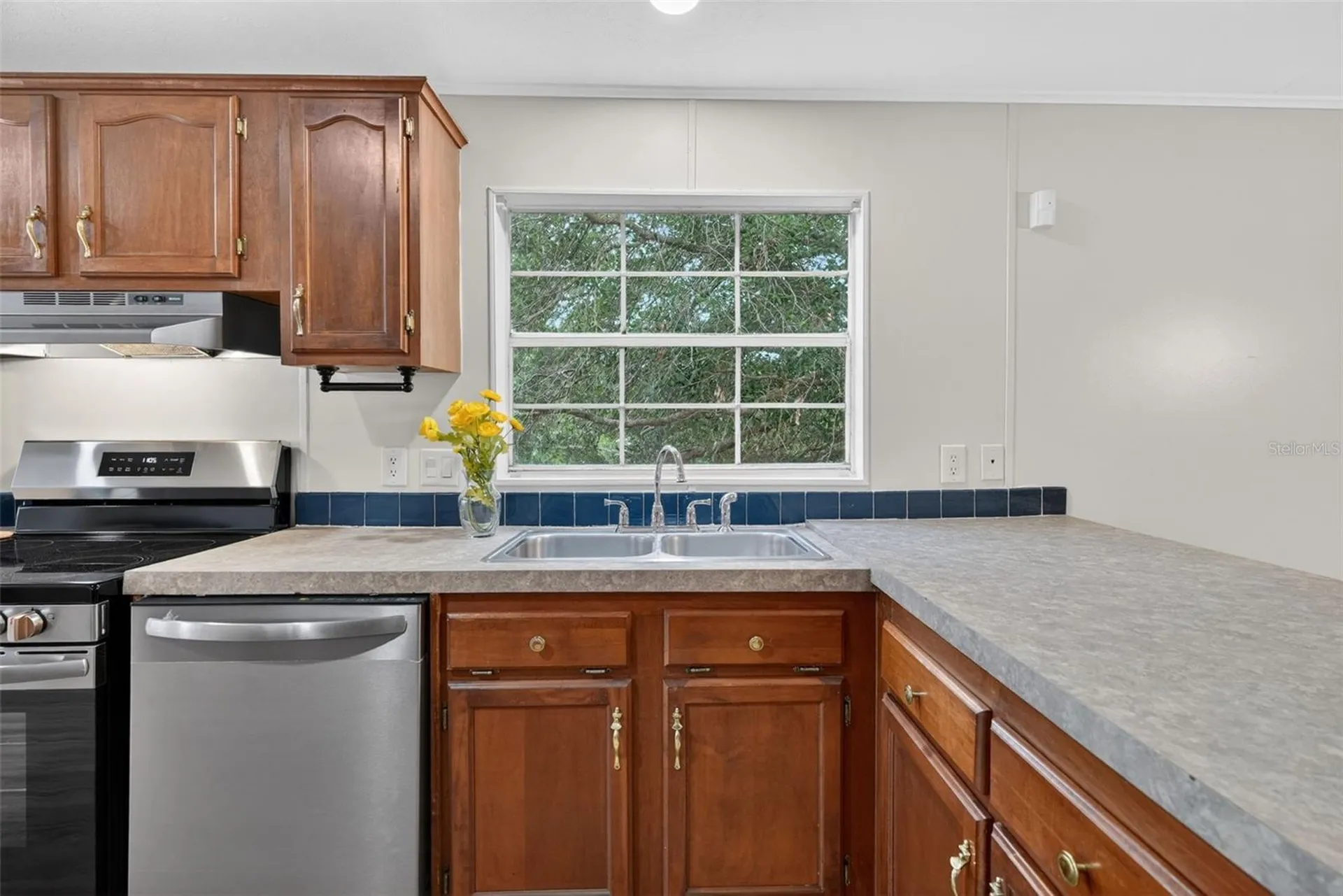 14199 SE 59th Court Summerfield FL 34491