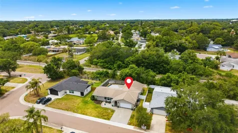 1138 Pelican Place Safety Harbor FL 34695
