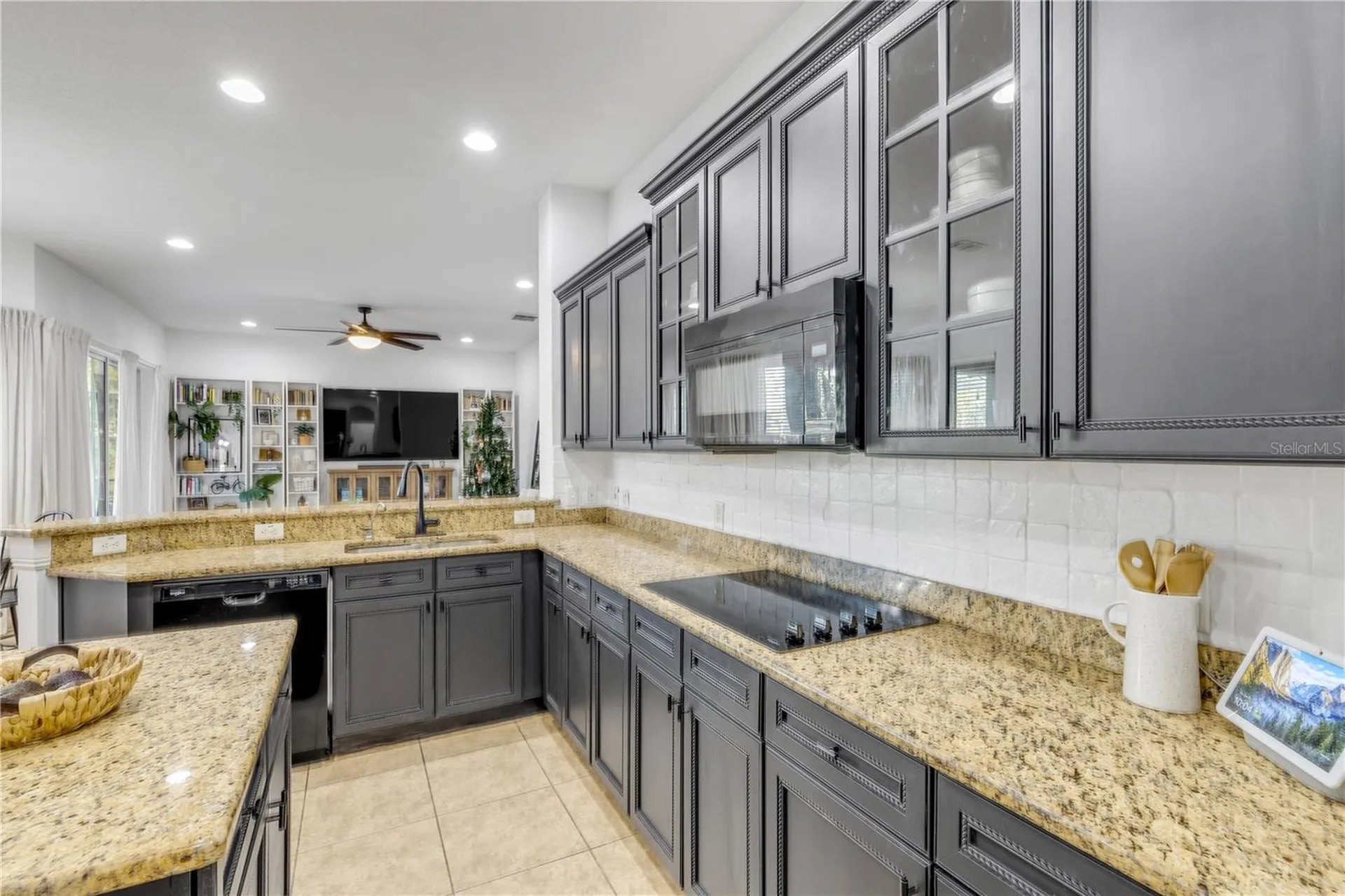 3021 Isola Bella Boulevard Mount Dora FL 32757
