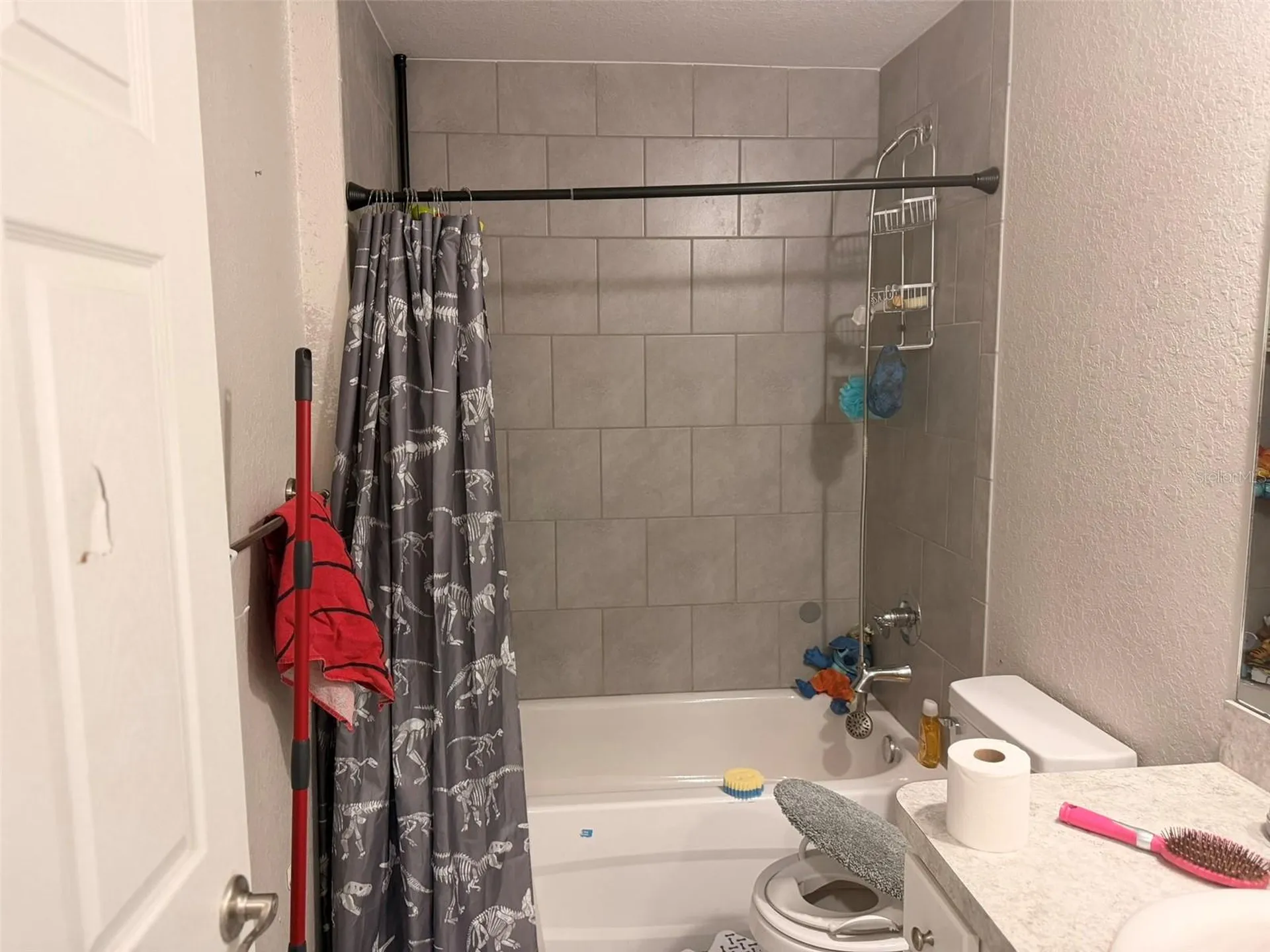 4281 SW 157th Court Ocala FL 34481