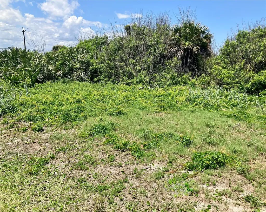6000 S Atlantic Avenue New Smyrna Beach FL 32169