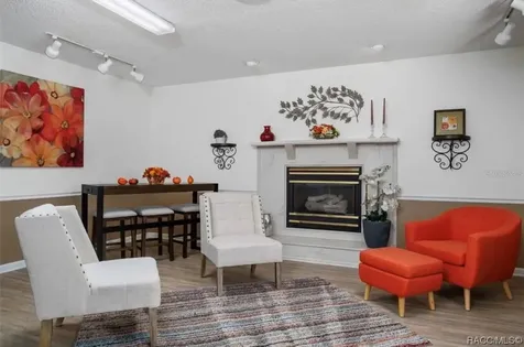 10541 S Drew Bryant Circle Floral City FL 34436