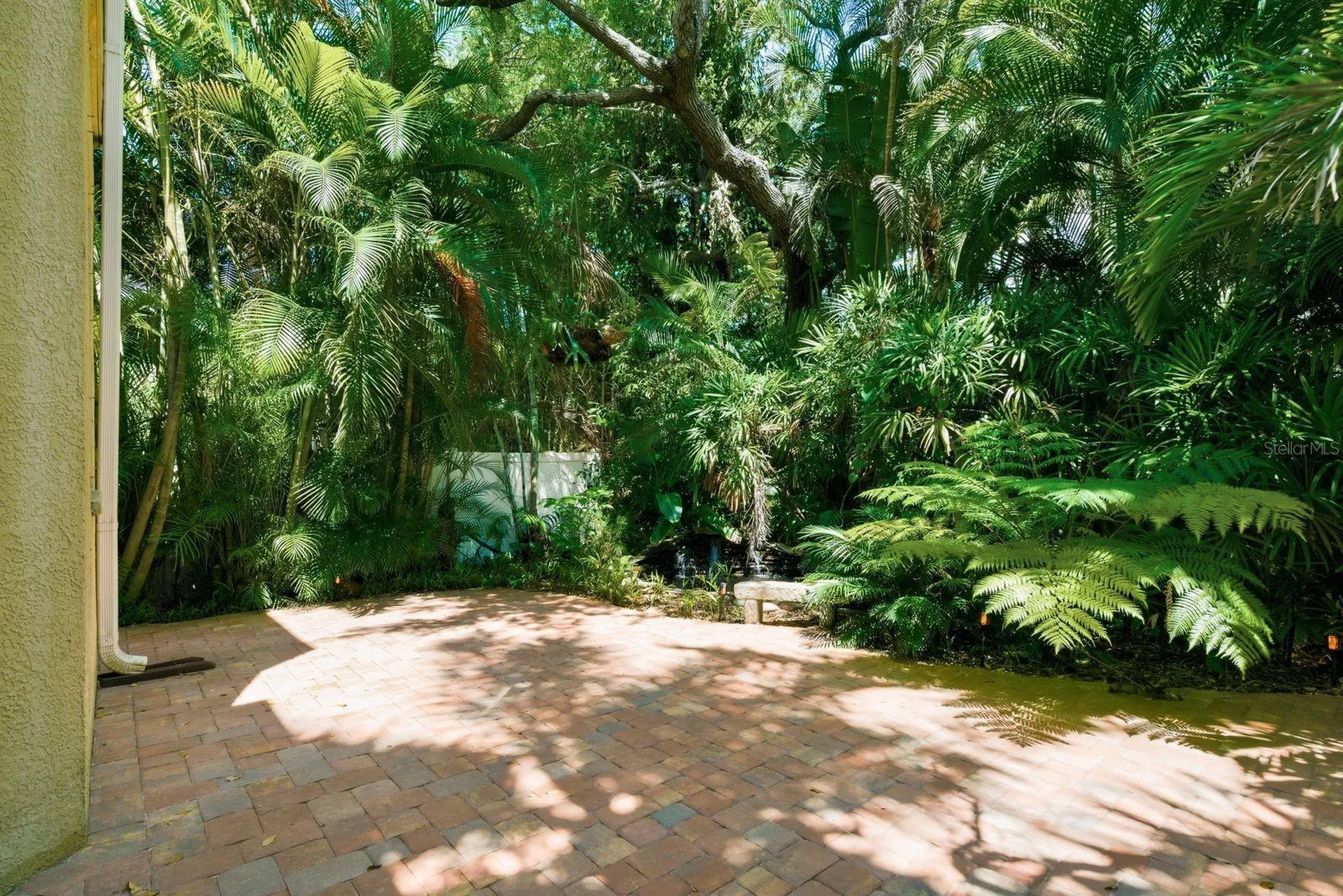 503 Palm Avenue Palm Harbor FL 34683