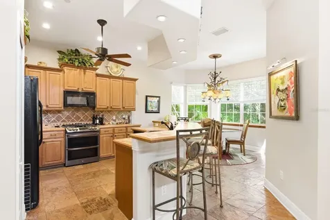 503 Palm Avenue Palm Harbor FL 34683