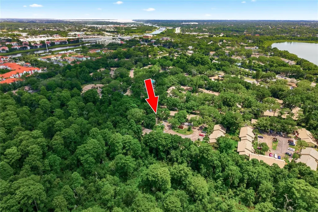 4041 Arrowwood Court Palm Harbor FL 34684