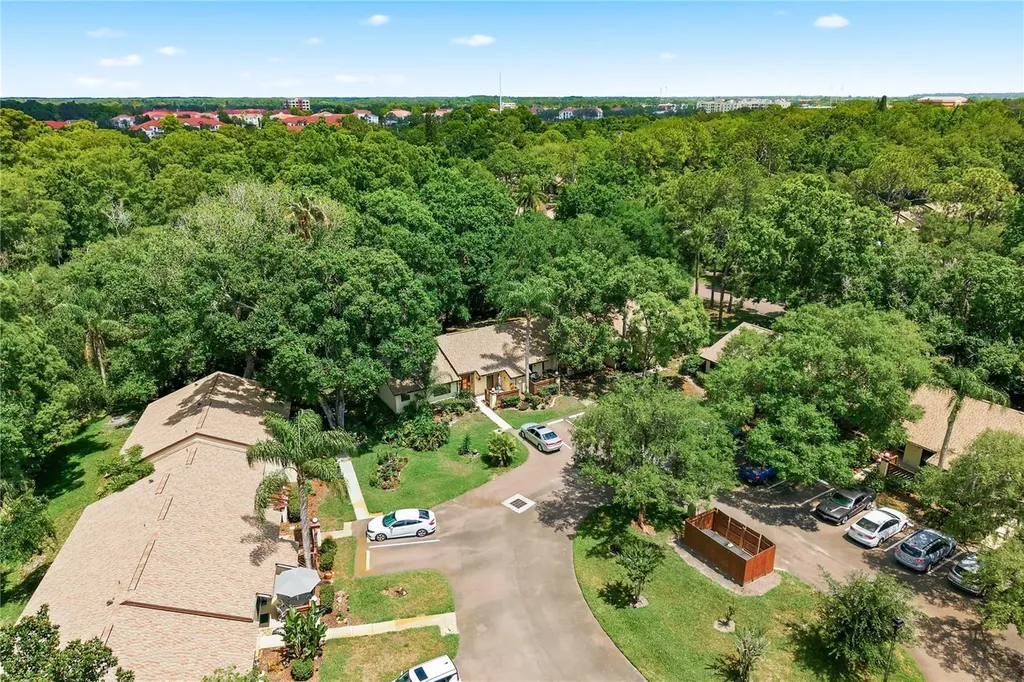 4041 Arrowwood Court Palm Harbor FL 34684