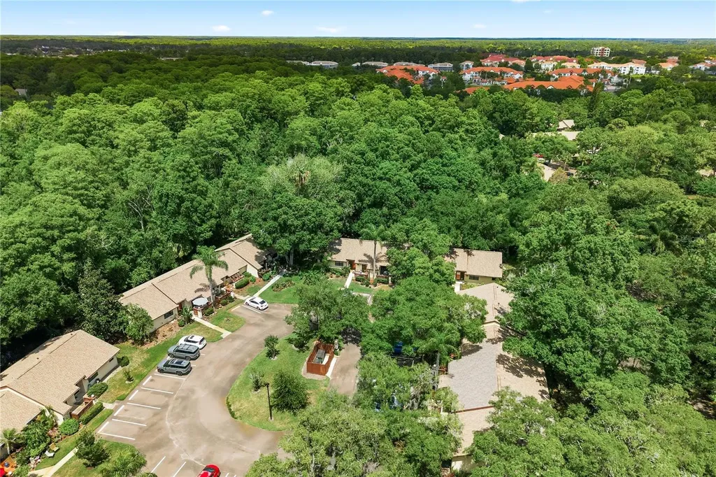 4041 Arrowwood Court Palm Harbor FL 34684
