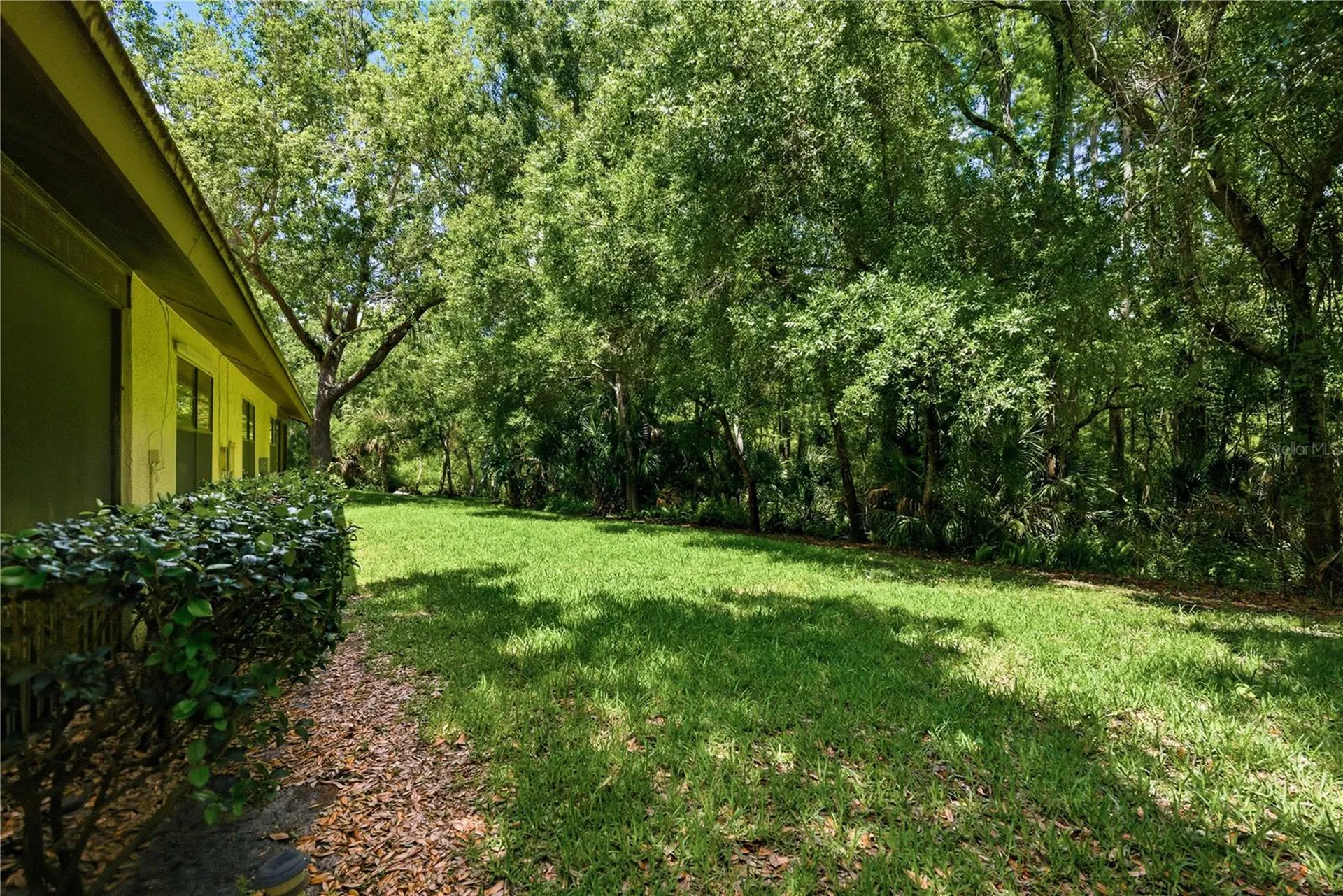 4041 Arrowwood Court Palm Harbor FL 34684
