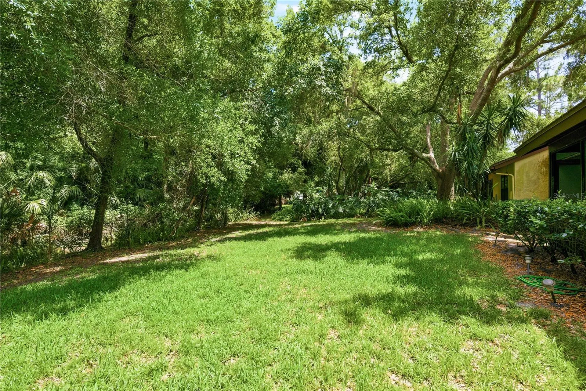 4041 Arrowwood Court Palm Harbor FL 34684