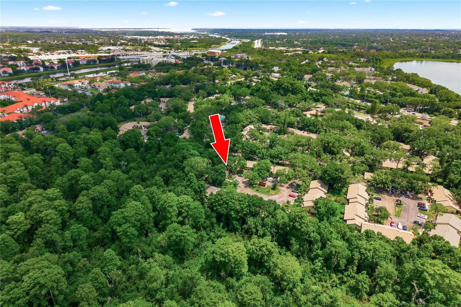 4041 Arrowwood Court Palm Harbor FL 34684