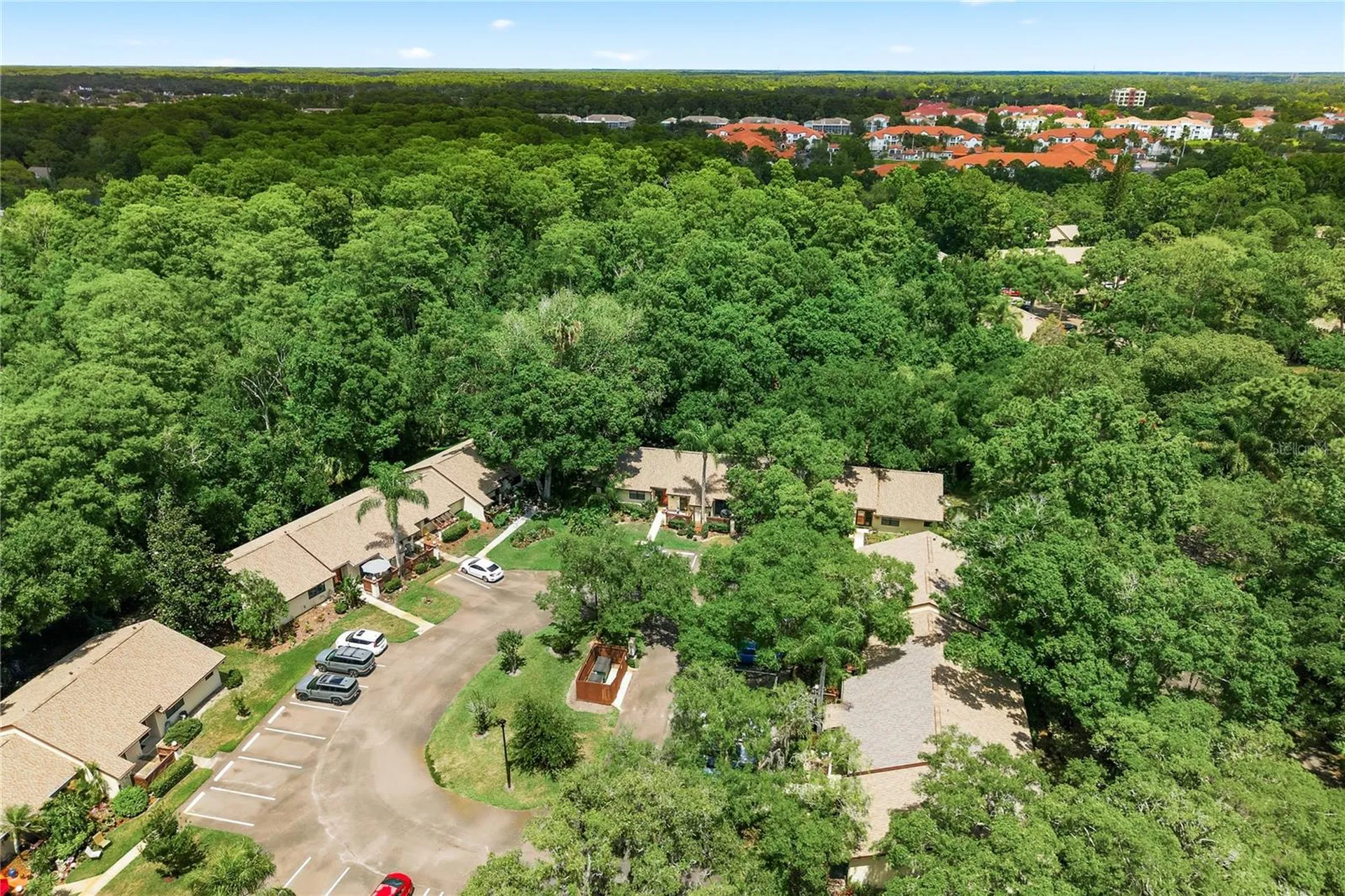 4041 Arrowwood Court Palm Harbor FL 34684