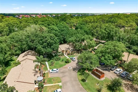 4041 Arrowwood Court Palm Harbor FL 34684