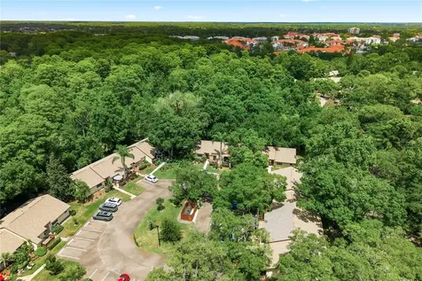 4041 Arrowwood Court Palm Harbor FL 34684