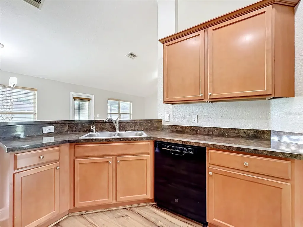 3883 SE 99th Street Belleview FL 34420