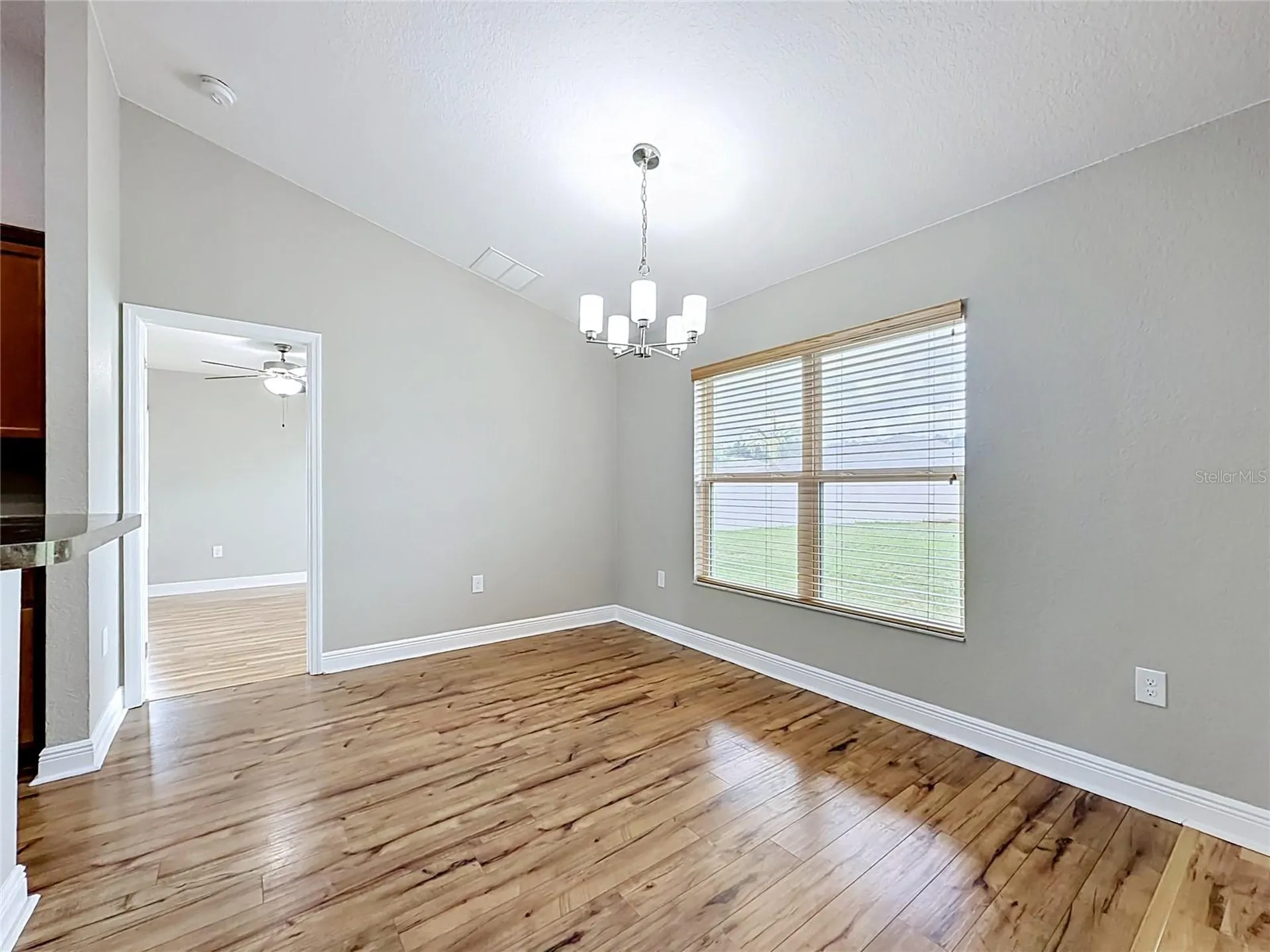 3883 SE 99th Street Belleview FL 34420