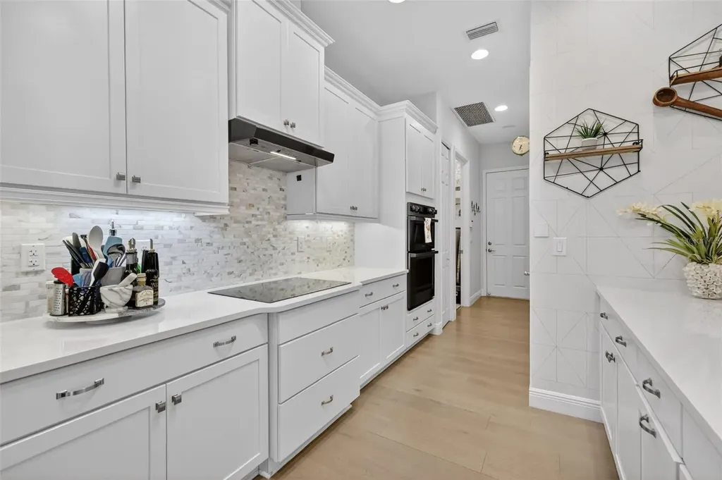 2493 Pawtucket Pass Mount Dora FL 32757