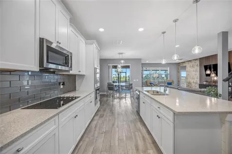 32455 Sapna Chime Drive Wesley Chapel FL 33545