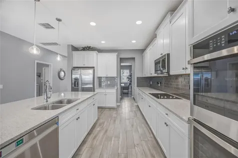 32455 Sapna Chime Drive Wesley Chapel FL 33545