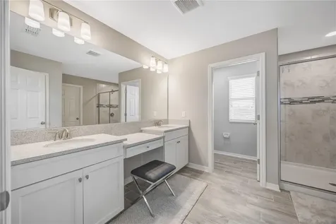 32455 Sapna Chime Drive Wesley Chapel FL 33545