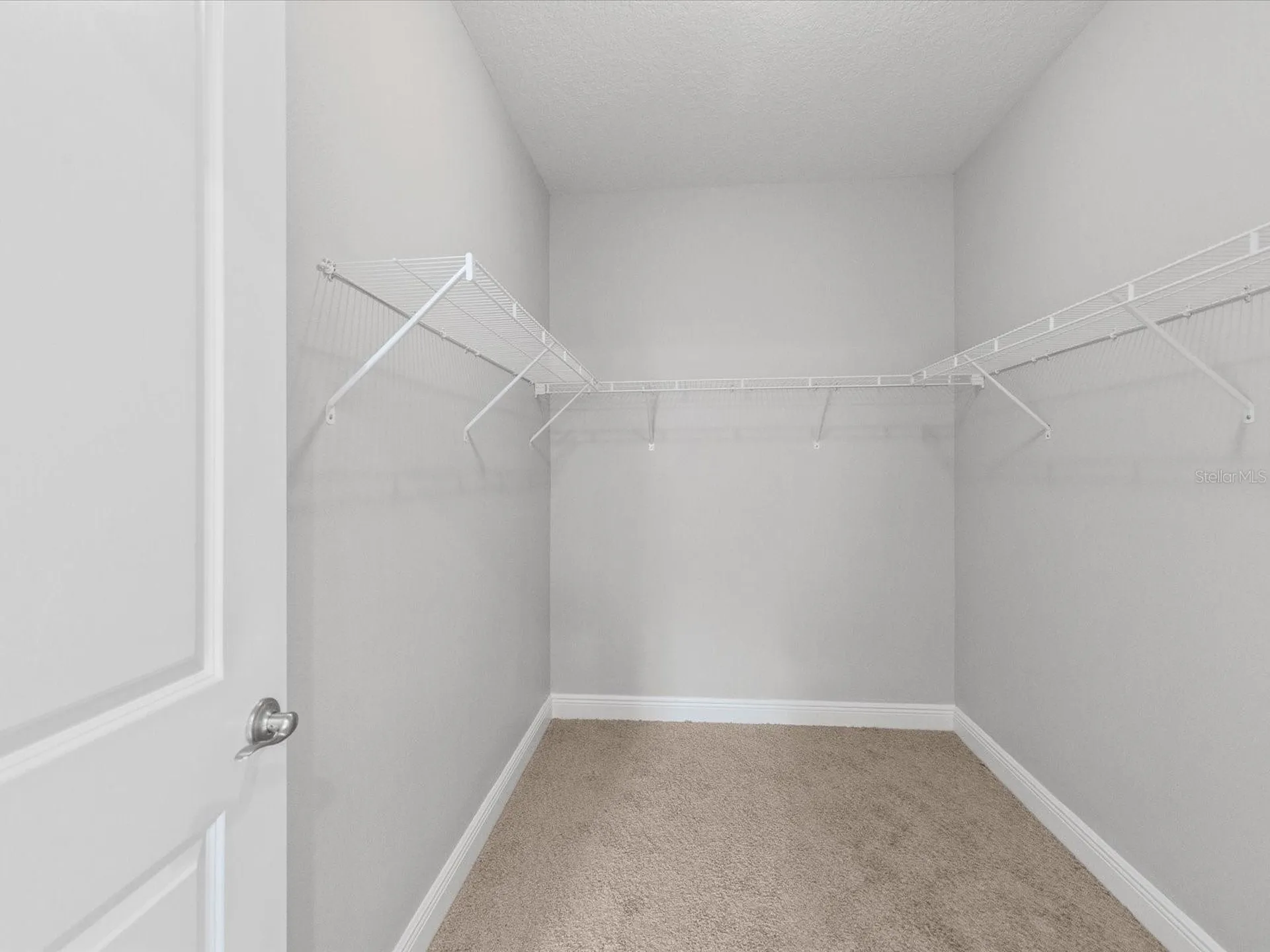 7105 Park Tree Drive Tampa FL 33625
