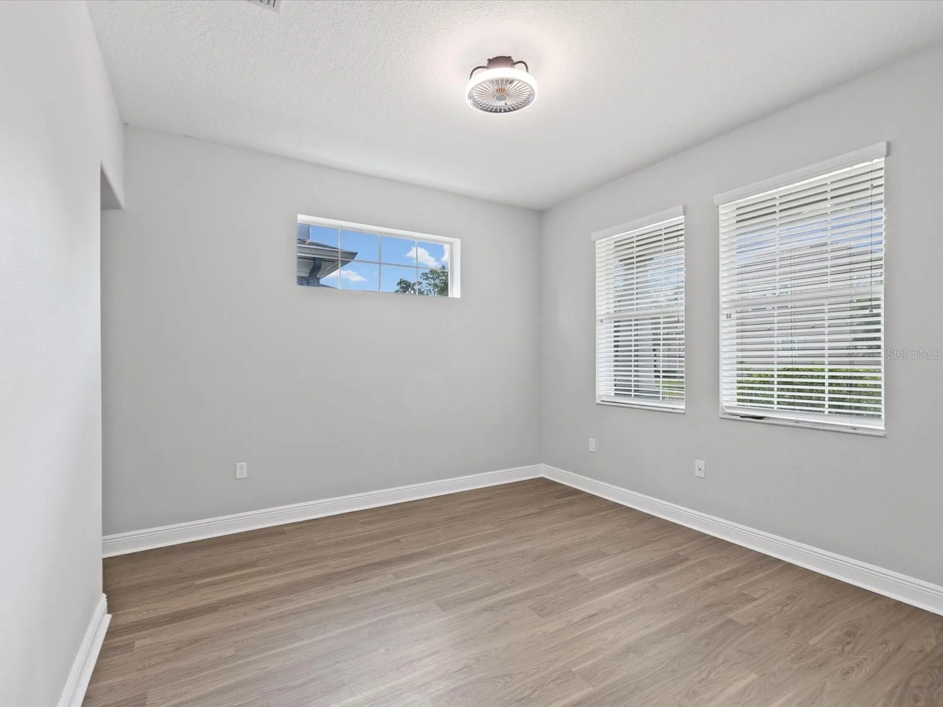 7105 Park Tree Drive Tampa FL 33625