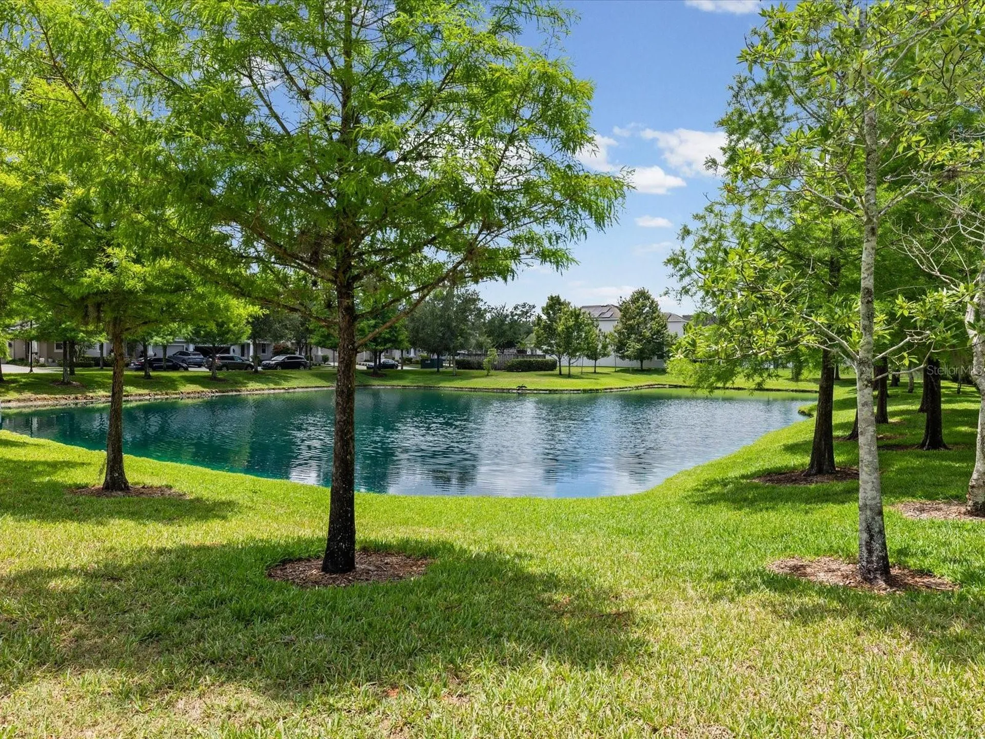 7105 Park Tree Drive Tampa FL 33625