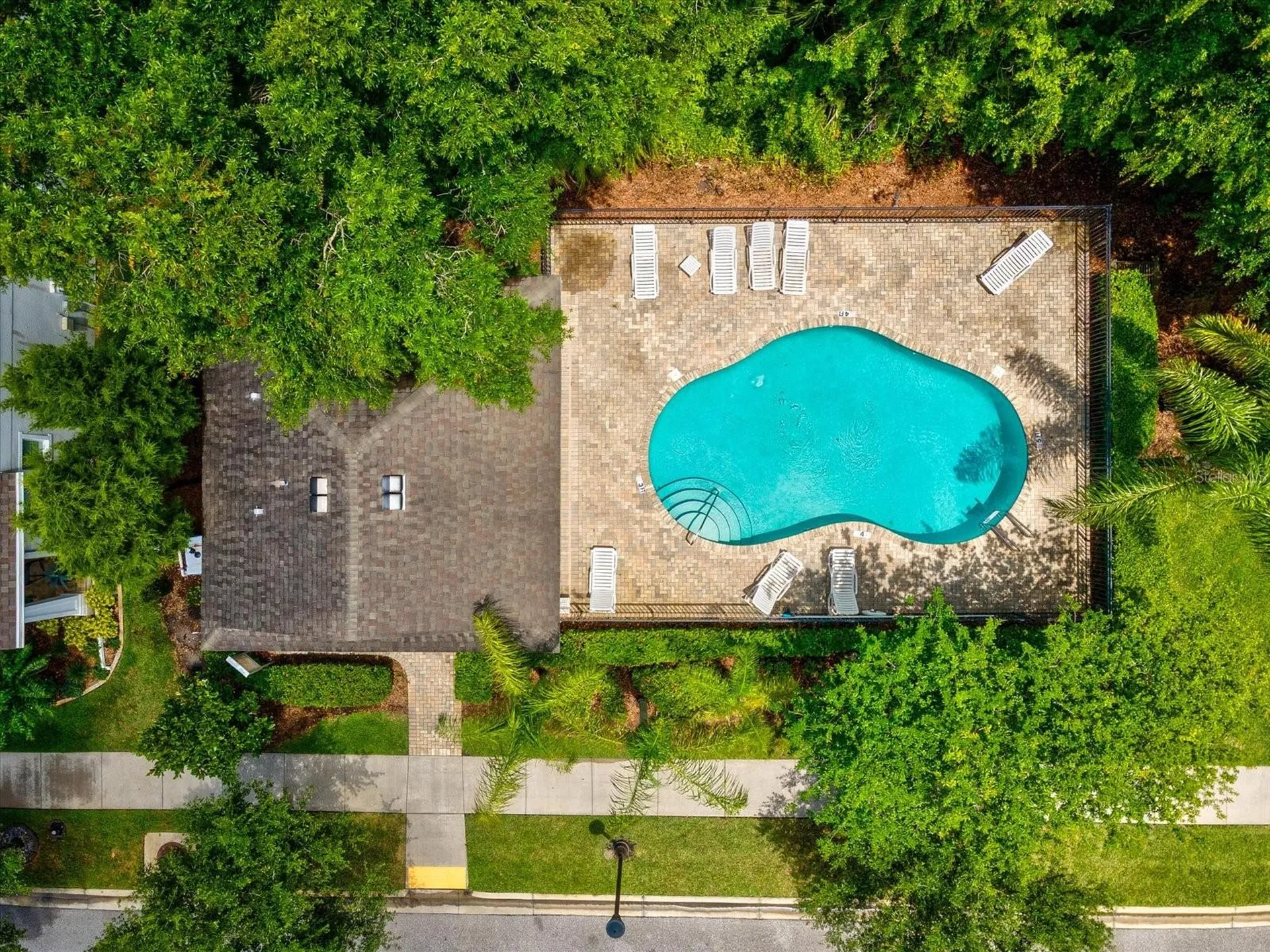 7105 Park Tree Drive Tampa FL 33625