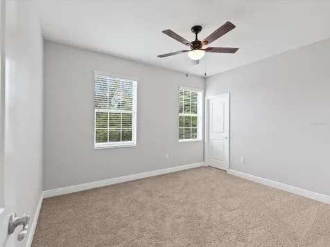 7105 Park Tree Drive Tampa FL 33625