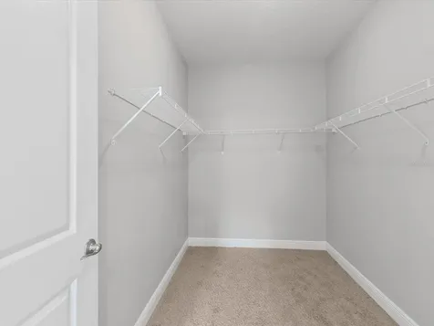 7105 Park Tree Drive Tampa FL 33625