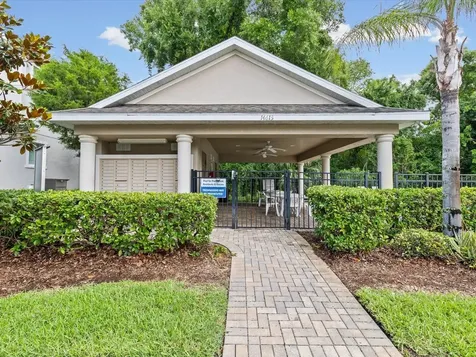 7105 Park Tree Drive Tampa FL 33625