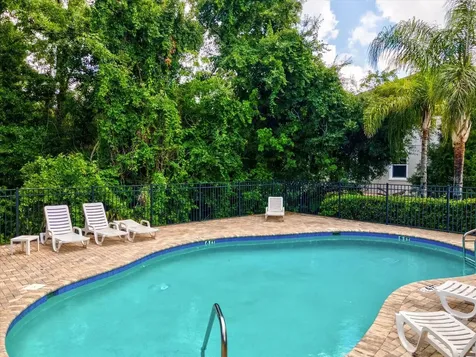 7105 Park Tree Drive Tampa FL 33625
