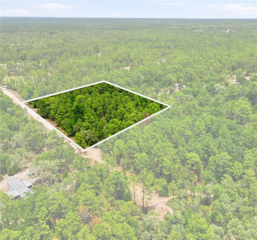 5339 N Lace Point Dunnellon FL 34433