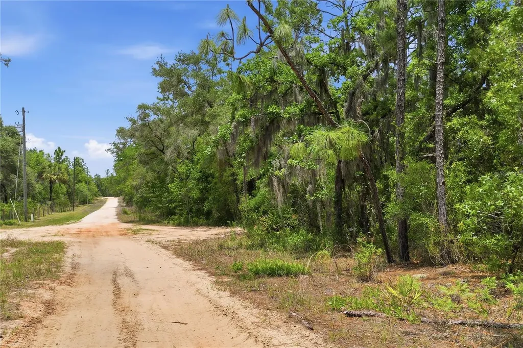5339 N Lace Point Dunnellon FL 34433