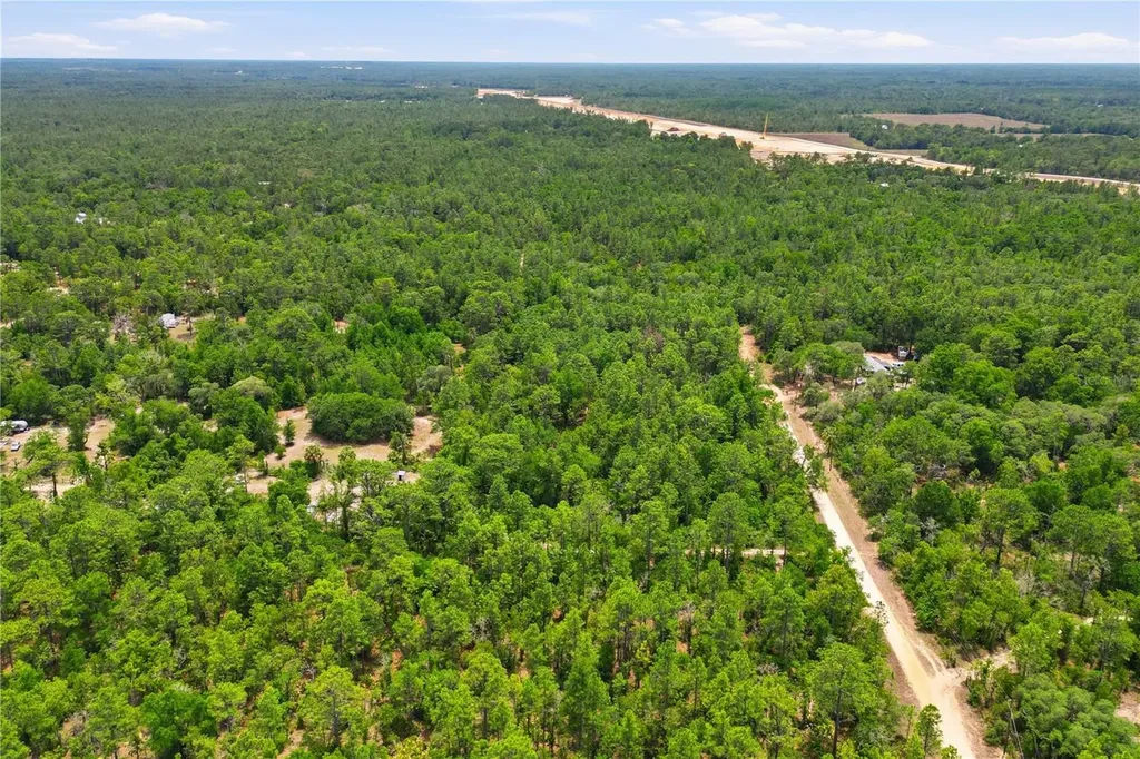 5339 N Lace Point Dunnellon FL 34433