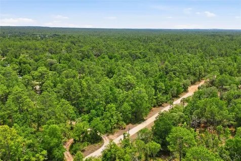 5339 N Lace Point Dunnellon FL 34433
