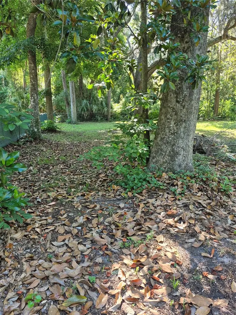16615 NE 45th Court Citra FL 32113